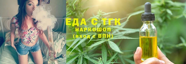 индика Горняк