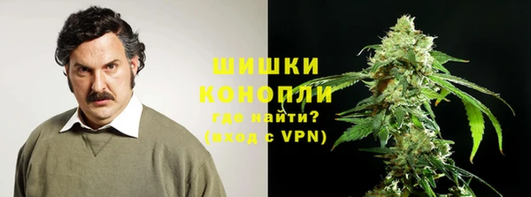 индика Горняк