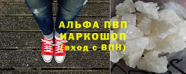 индика Горняк
