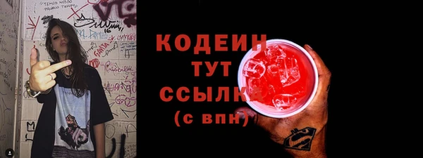 индика Горняк