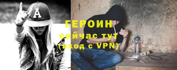 индика Горняк