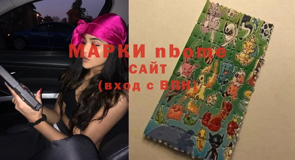 индика Горняк