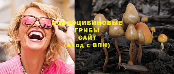spice Горно-Алтайск