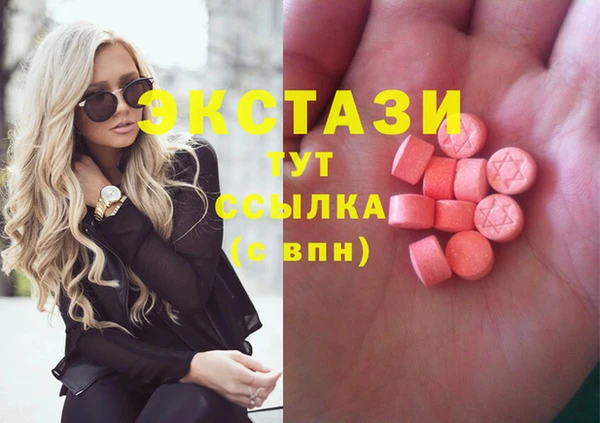 индика Горняк