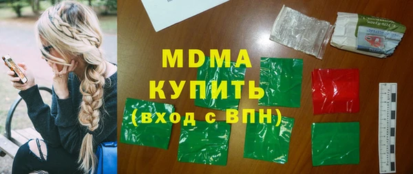 индика Горняк