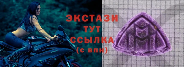 индика Гусь-Хрустальный