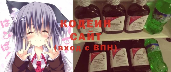 индика Горняк