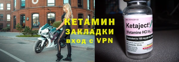 индика Горняк