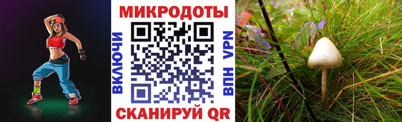 Купить где  Энем  Галлюциногенные грибы ЛСД 